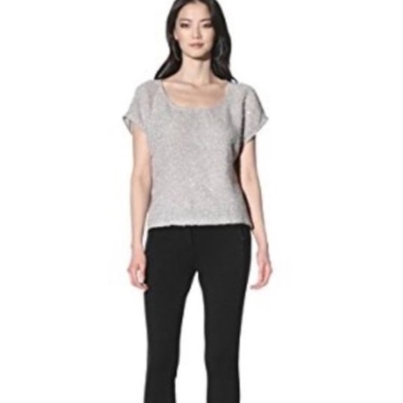 Anthropologie Ella Moss Moonshine Sequin Silver Gray Short Sleeve Top Small - Picture 1 of 6